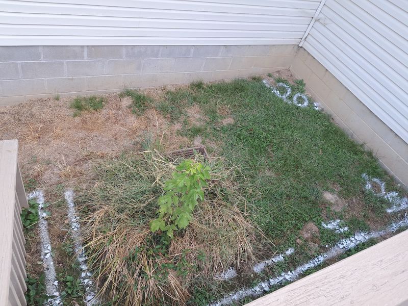 Concrete pad and Grill Hut