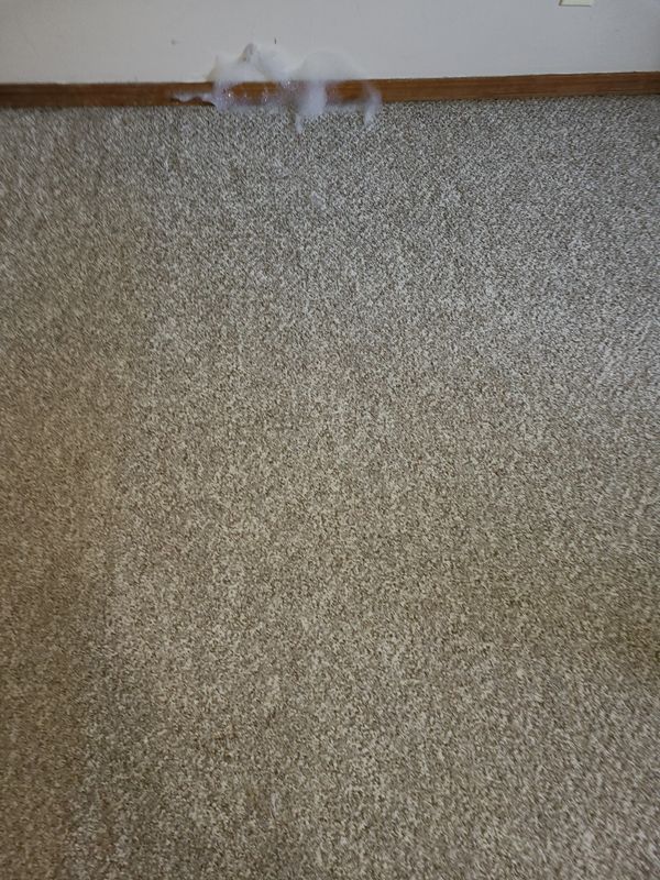 Residential Cleaning