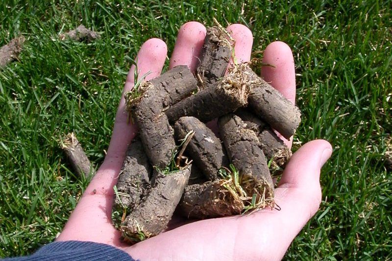 Aeration and Overseeding