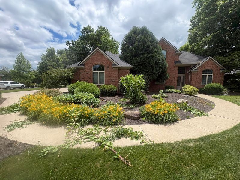 Landscape Design & Installation