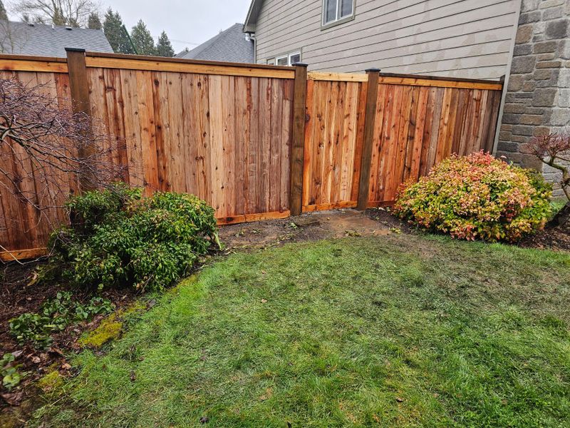 Fence Installation