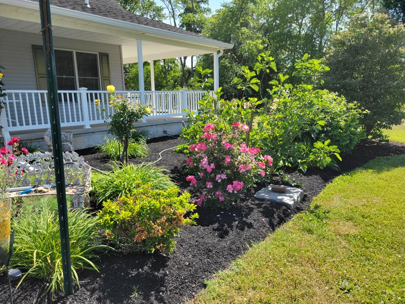Lawn Care and Maintenance