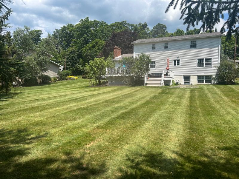 Lawn Maintenance