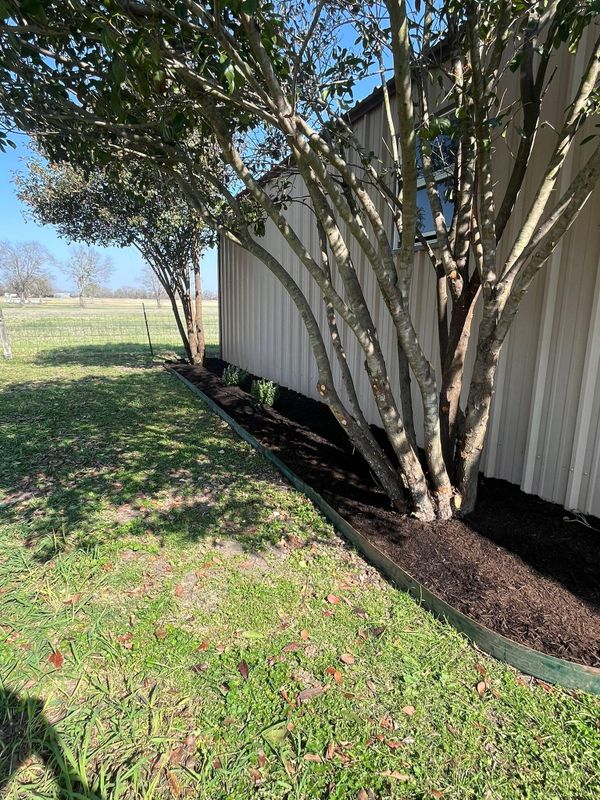 Mulch Installation