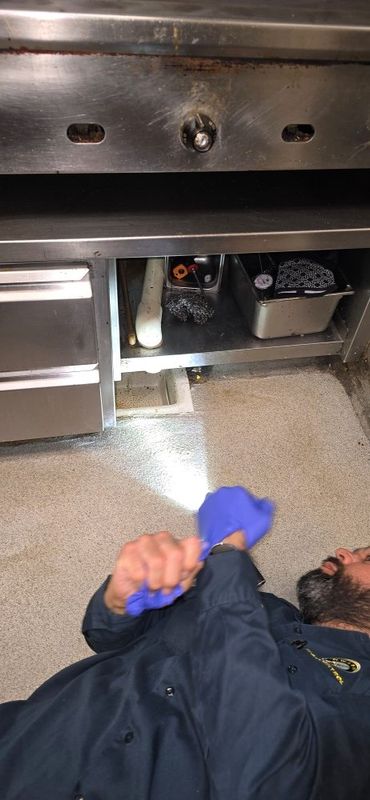 Cockroach Extermination