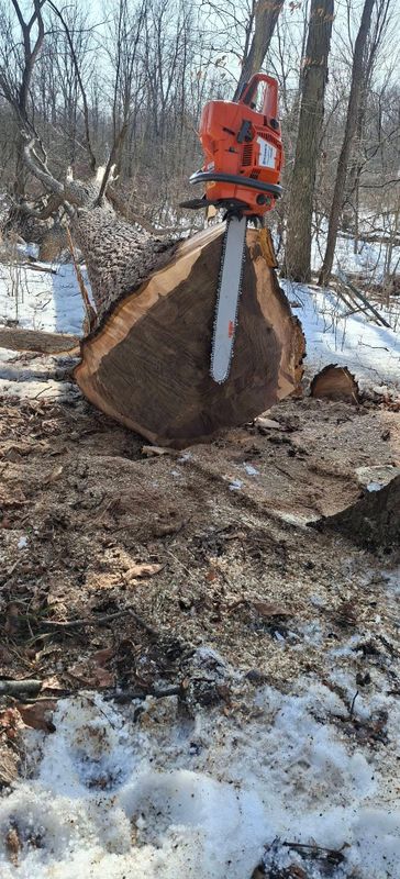 Timber Management