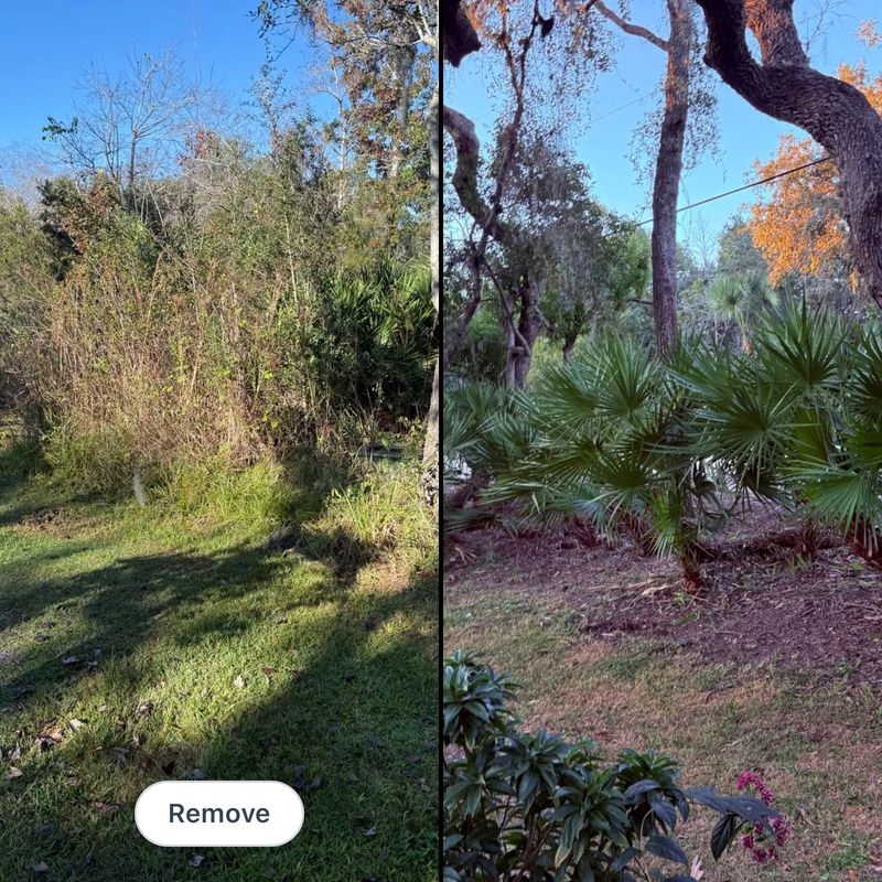 Land Clearing