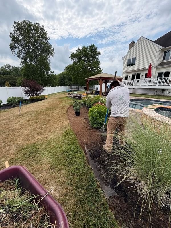Tree & Perennial Planting