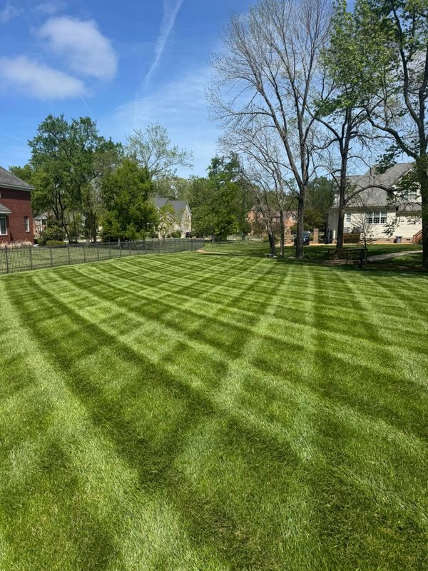 Lawn Mowing