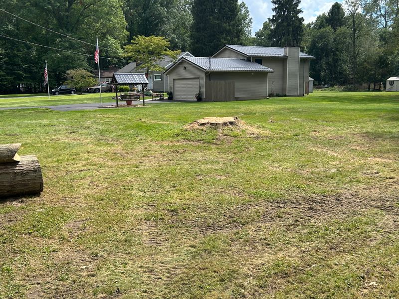 Tree Removal
