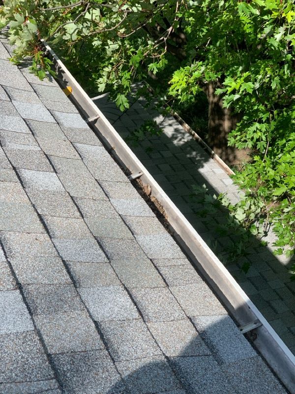 Roof Cleaning