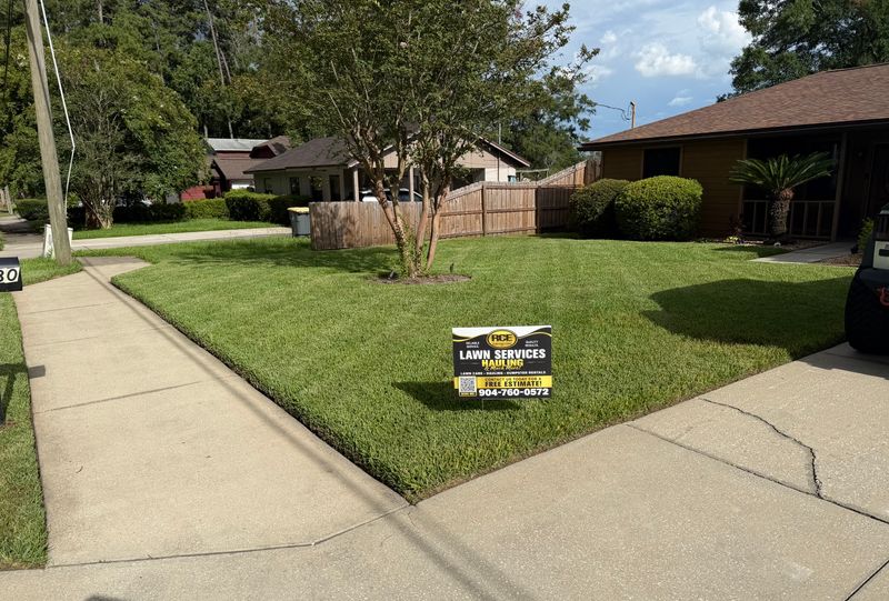 Lawn Care
