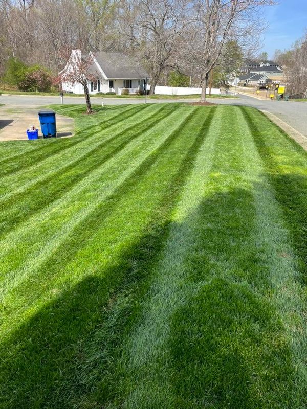 Garden Maintenance