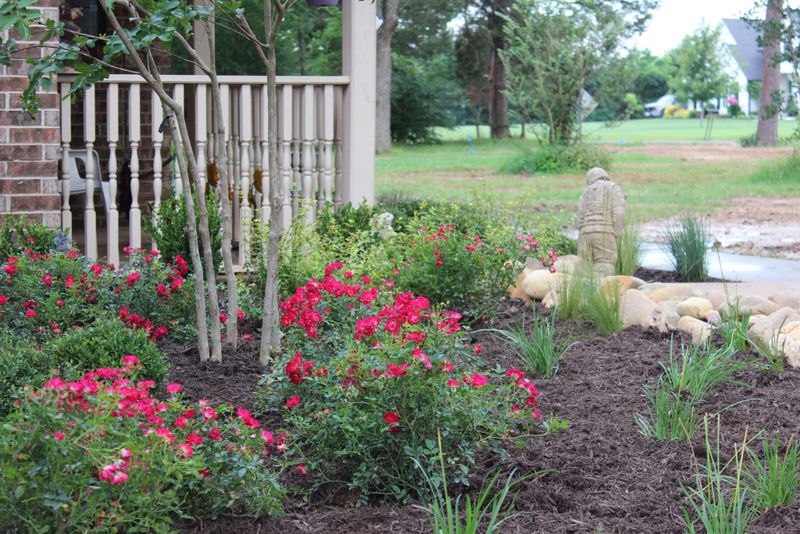 Landscape Design & Installation