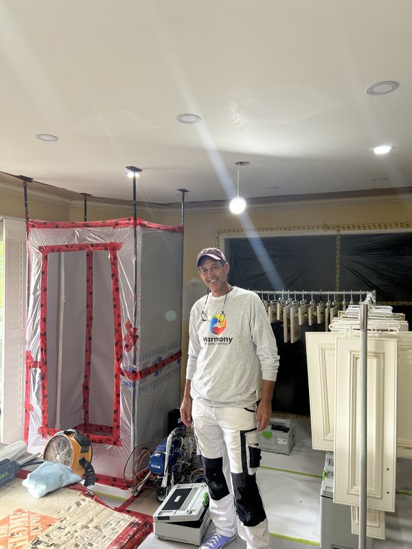 Cabinet Painting gallery