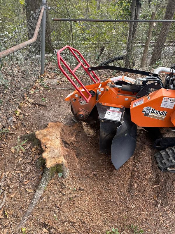 Stump Grinding gallery
