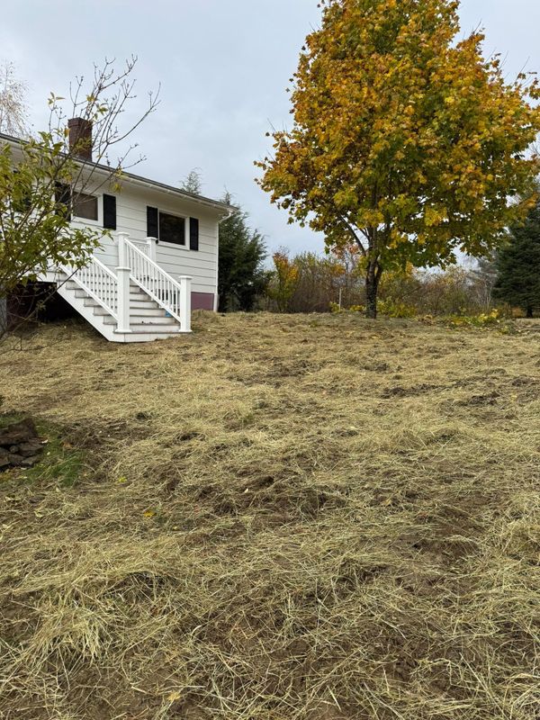 Fall Clean Up