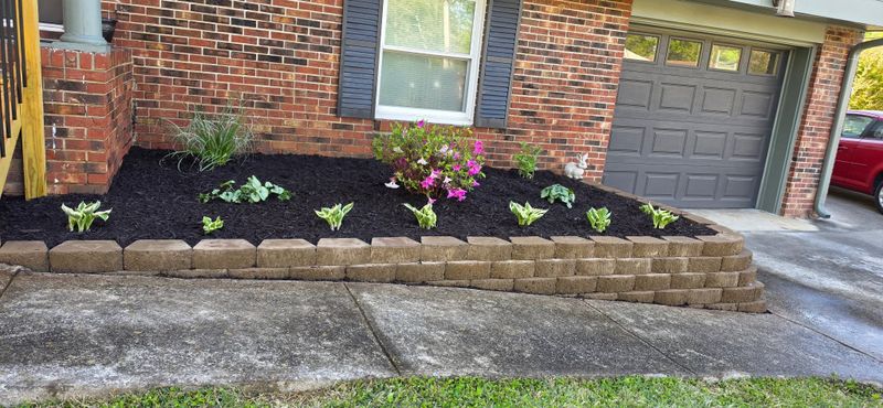 Landscape Design & Installation