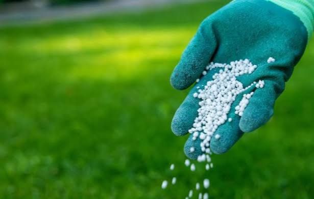 Fertilization