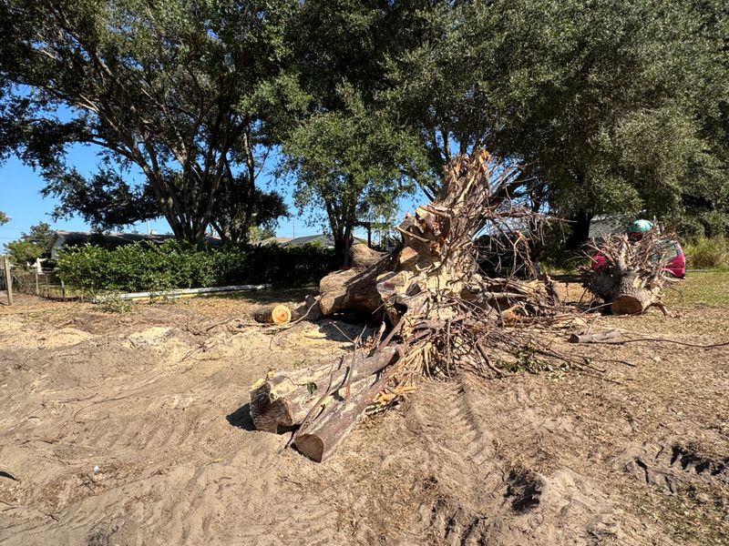 Land Clearing