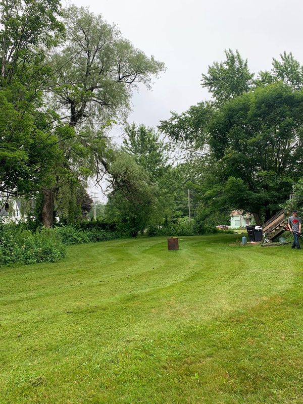 Lawn Maintenance