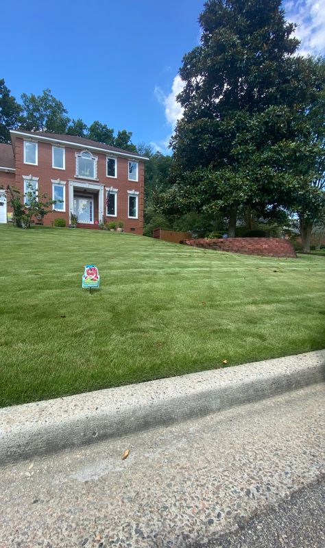 Zenith Zoysia: Award-Winning Lawn Transformation in Martinez by Kathleen's Expert Care