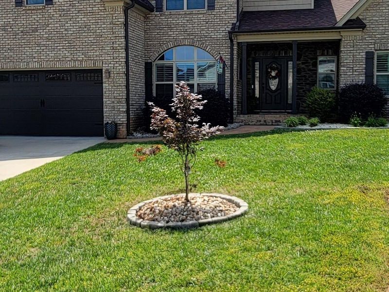 Lawn Care