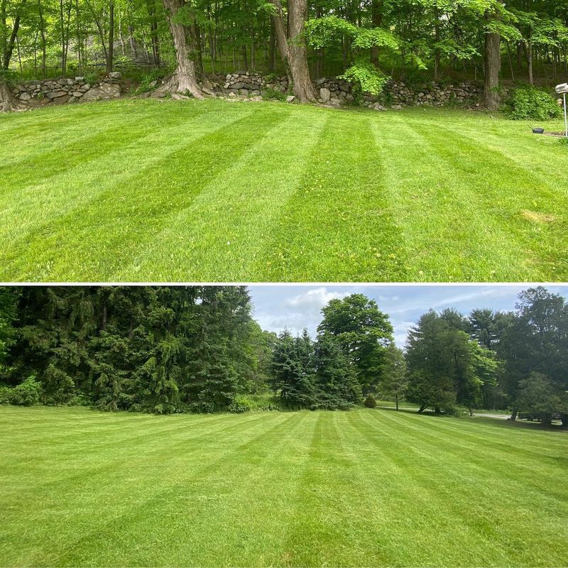 Lawn Care