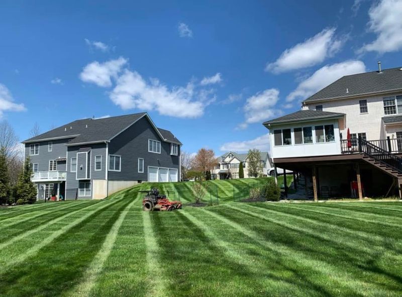 Lawn Maintenance gallery