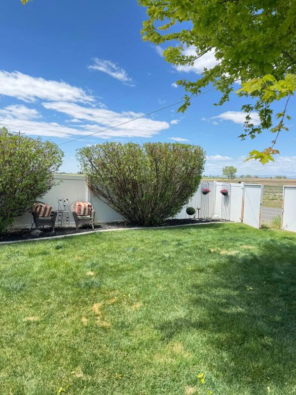 Landscape Design