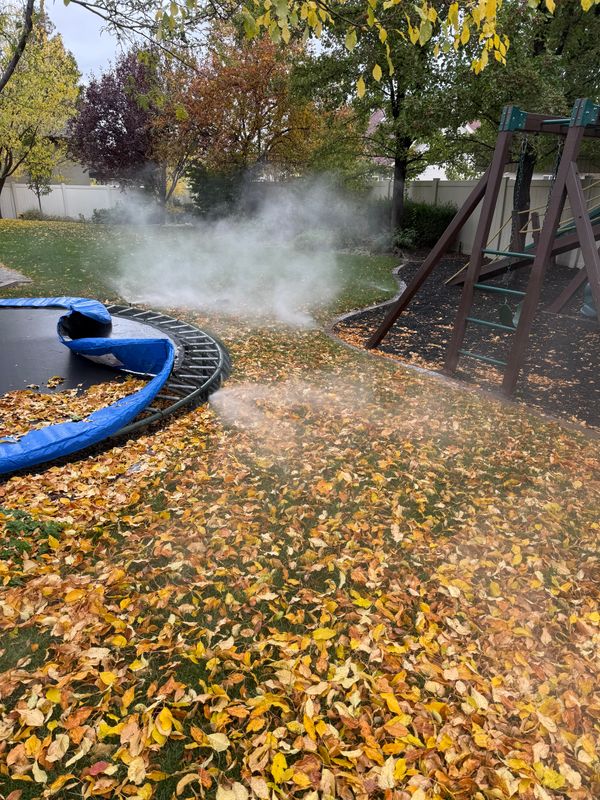 Fall Clean Up