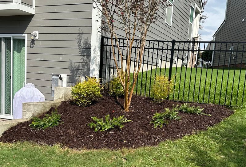 Landscape Design