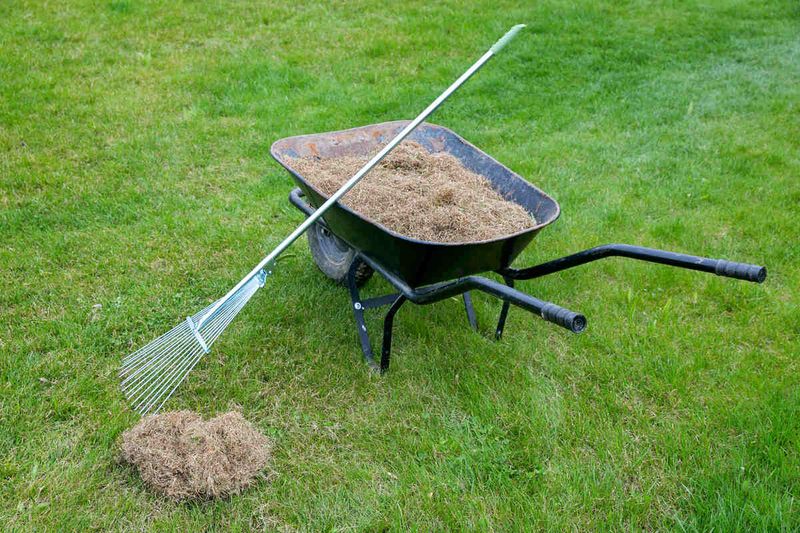 Seasonal Clean-Up