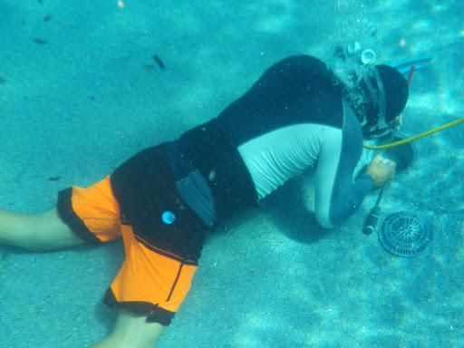 Pool Repairs