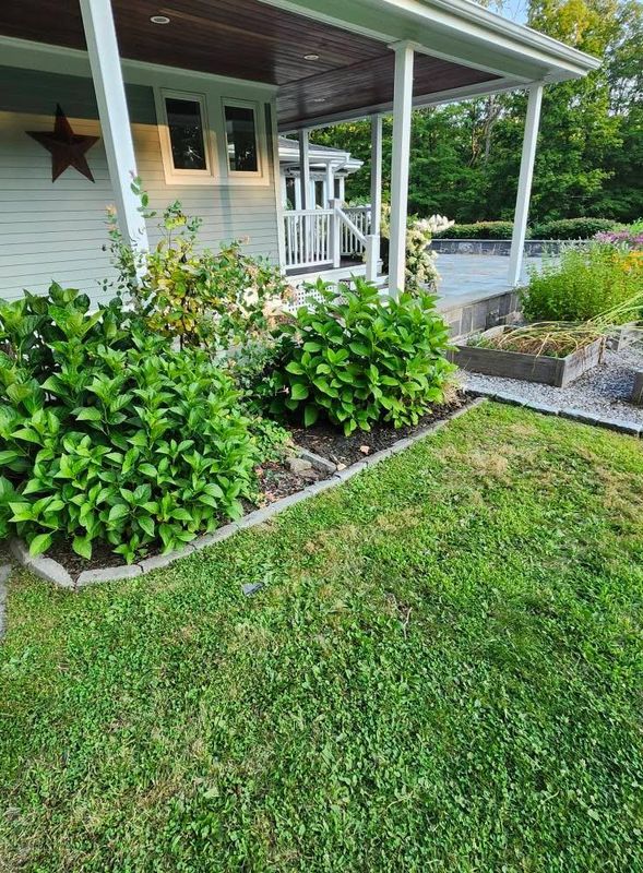 Patio Design & Construction