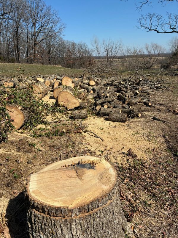 Land Clearing