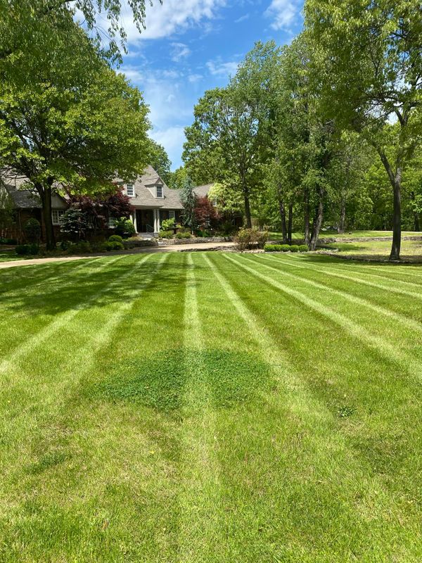 Lawn Care