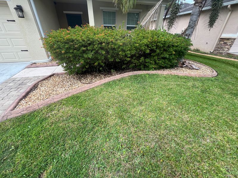 Curb Appeal Revamp: Transforming Front Yard Elegance with Expert Landscaping and Pristine Hardscaping