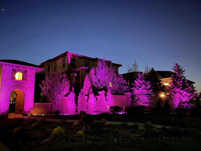 Landscape Lighting
