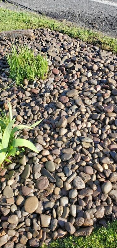 Mulch Installation