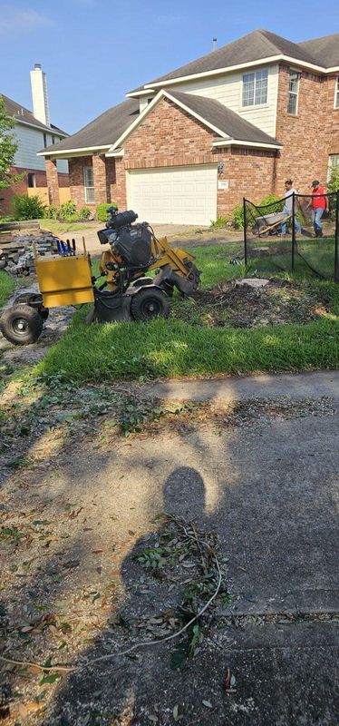 Stump-Free Serenity: Transforming Pearland, TX with Servin's Tree Care
