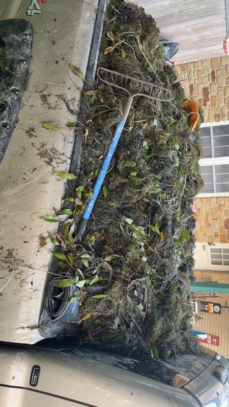 Land Clearing
