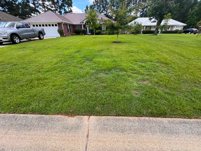 Lawn Maintenance