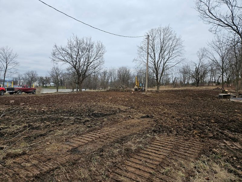 Land Clearing and Site Preparation