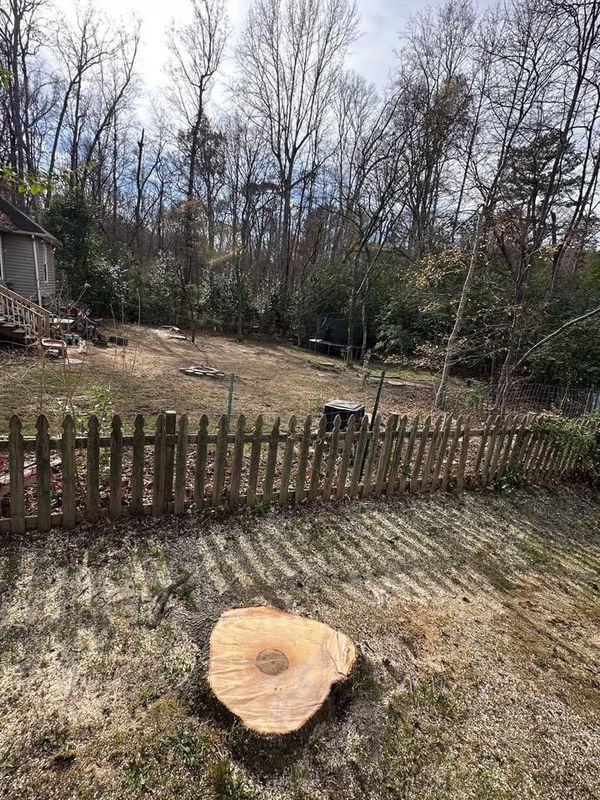 Stump Removal