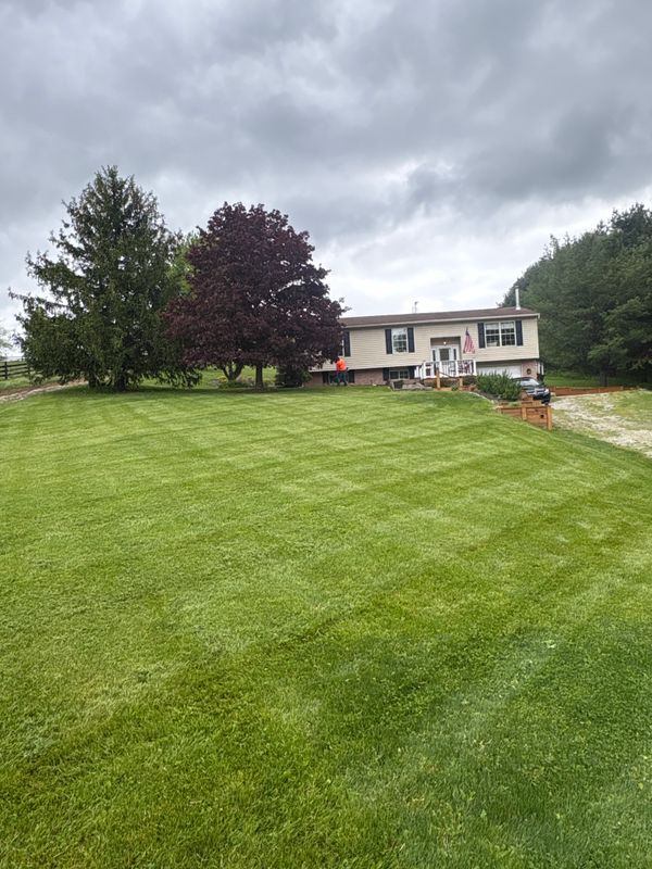 Lawn Care