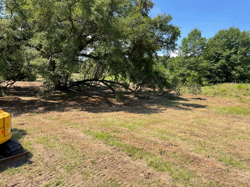 Land Clearing/ Forestry Mulching