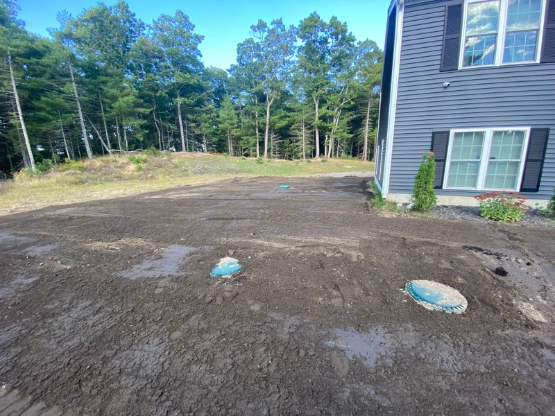 Lawn Renovation
