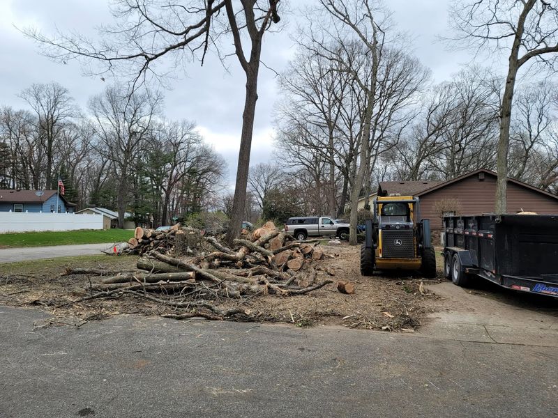 Storm Damage Mitigation