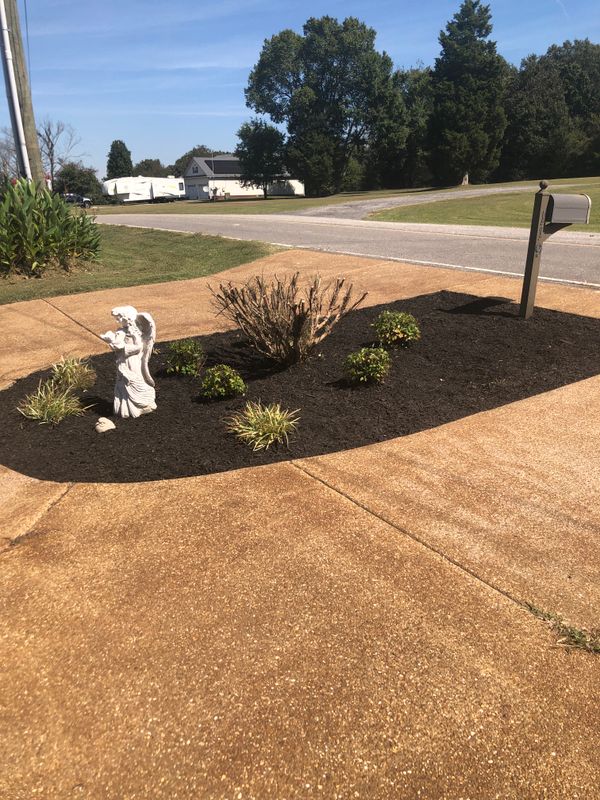 Tree & Shrub Care
